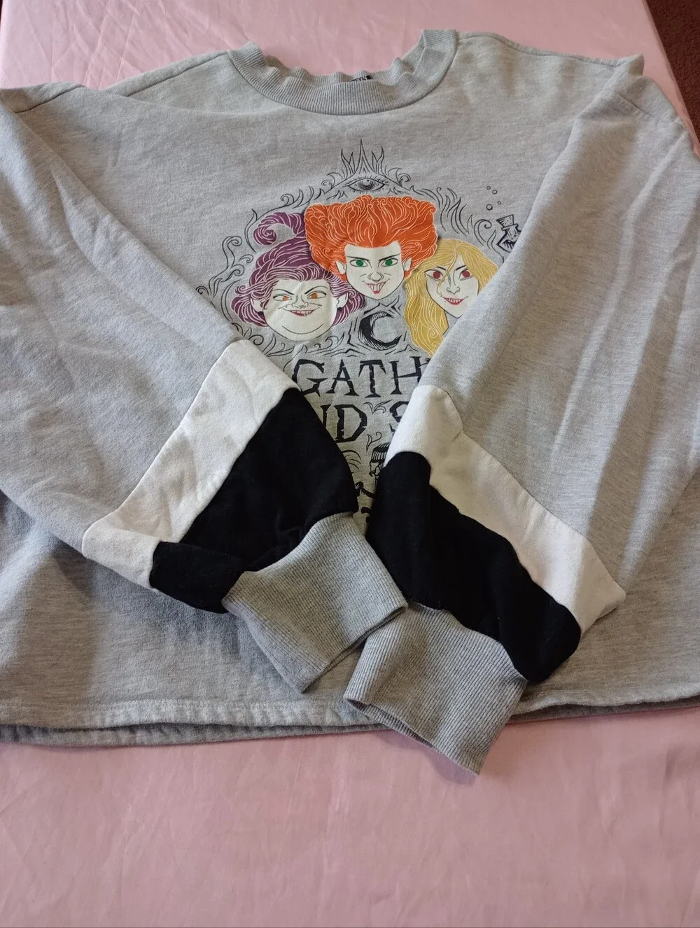 Disney Hocus Pocus Junior Womens Gray Witch Sweatshirt size L(11-13)